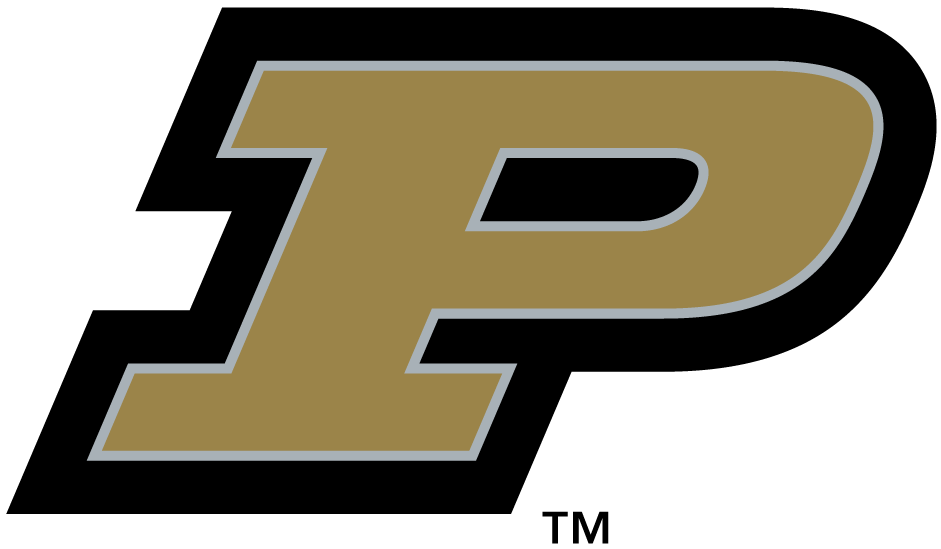 Purdue Boilermakers 1996-2002 Alternate Logo iron on transfers for fabric